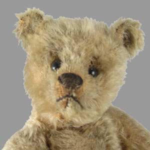 Steiff bear close up