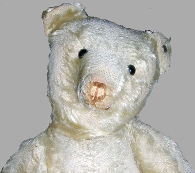 white Steiff teddy bear