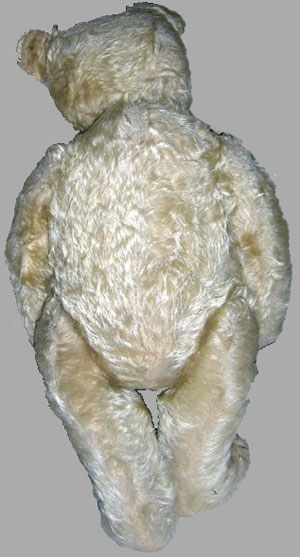 Steiff Bear