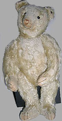 white Steiff bear